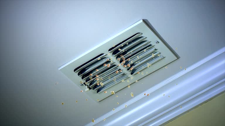 Best Residential Air Duct Cleaning  in Lake Vla, IL