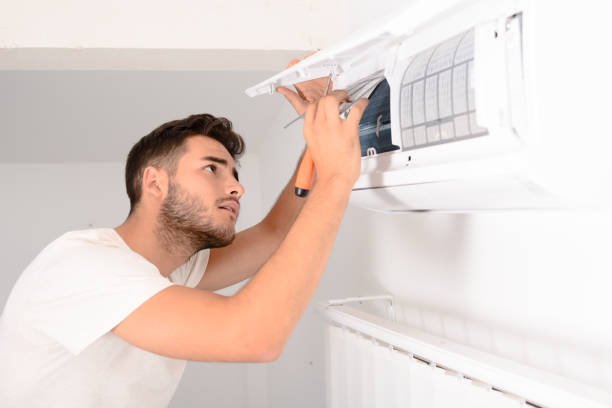 Best Affordable Duct Cleaning Services  in Lake Vla, IL